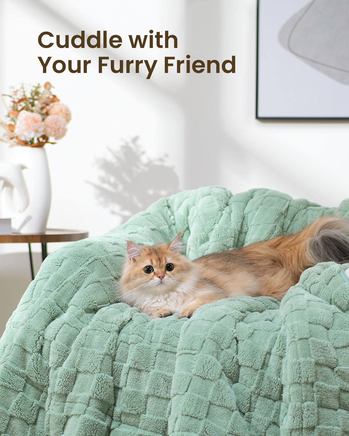 Heated Blanket Cats And Weighted Blankets Are Anxiety Blankets