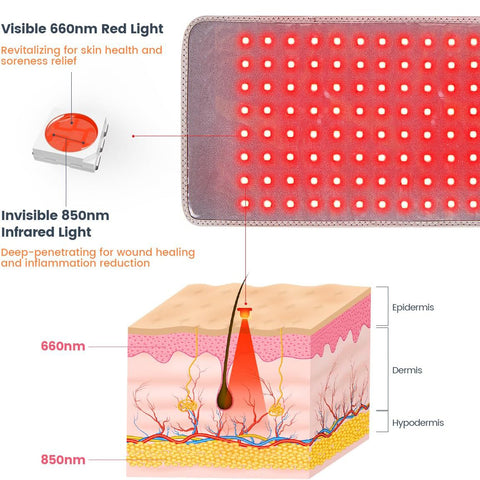 3-in-1 Chips Red Light Therapy for Body